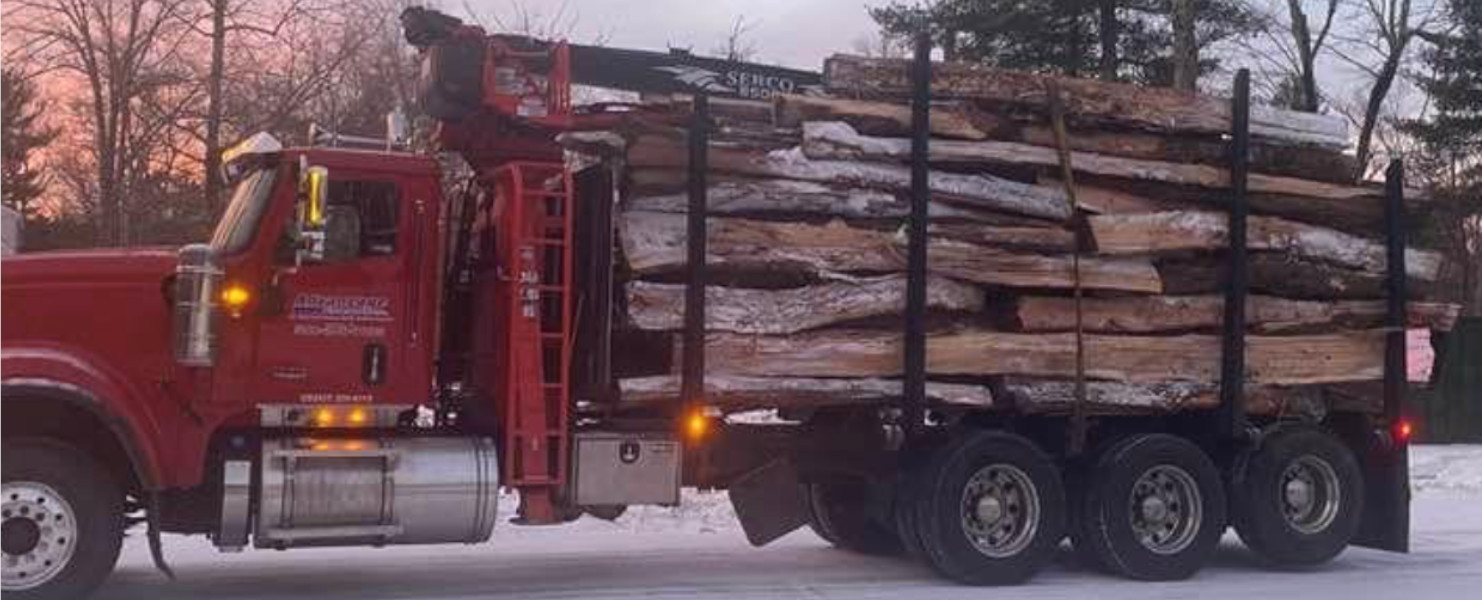 Firewood tree length