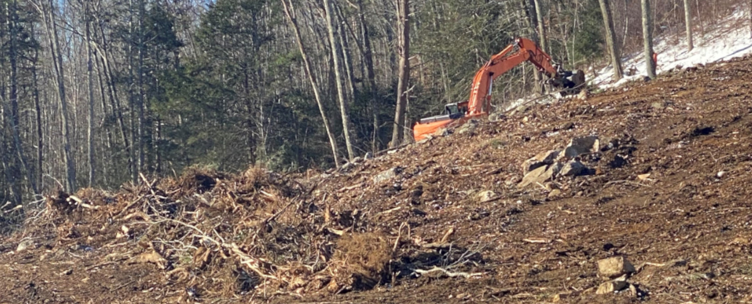 Land clearing