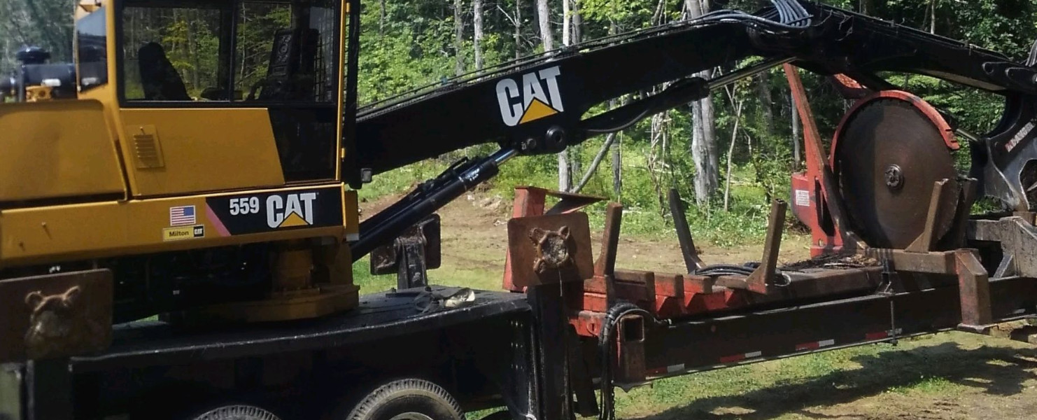 tree removal
