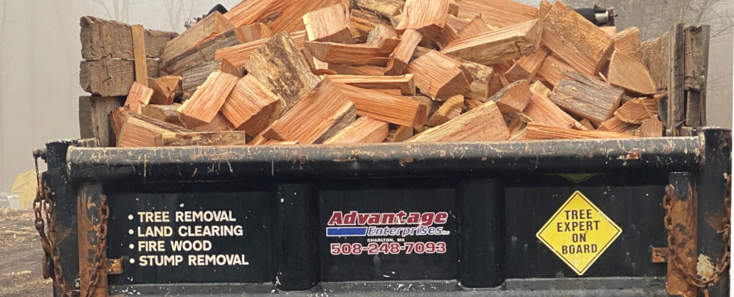 Split firewood